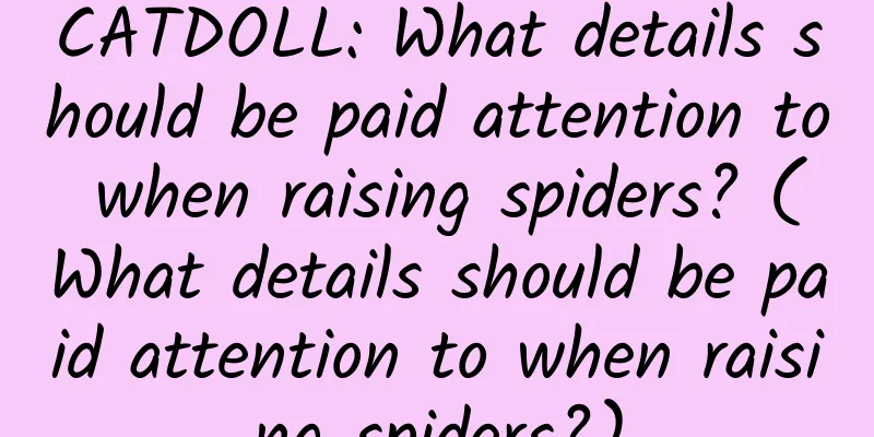 CATDOLL: What details should be paid attention to when raising spiders? (What details should be paid attention to when raising spiders?)