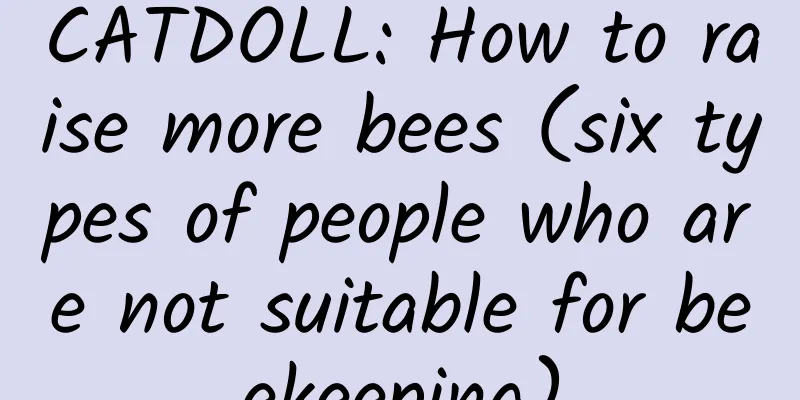 CATDOLL: How to raise more bees (six types of people who are not suitable for beekeeping)