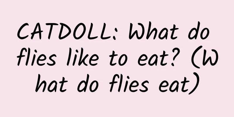 CATDOLL: What do flies like to eat? (What do flies eat)