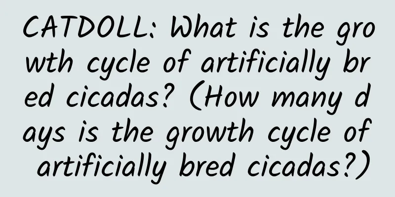 CATDOLL: What is the growth cycle of artificially bred cicadas? (How many days is the growth cycle of artificially bred cicadas?)