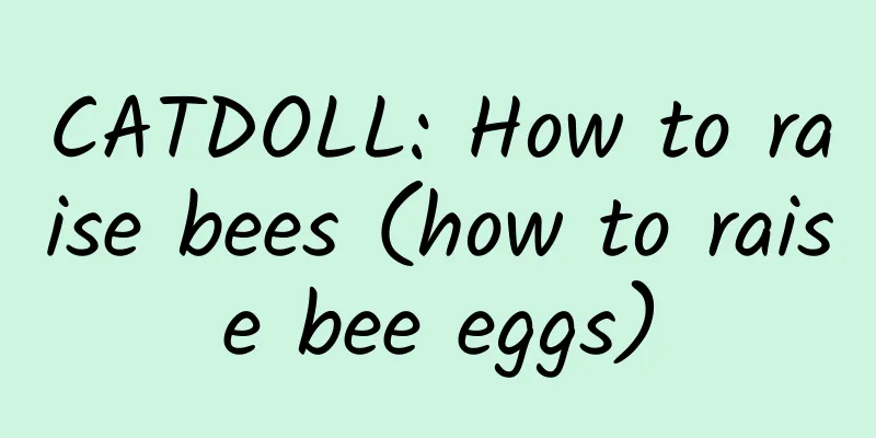 CATDOLL: How to raise bees (how to raise bee eggs)