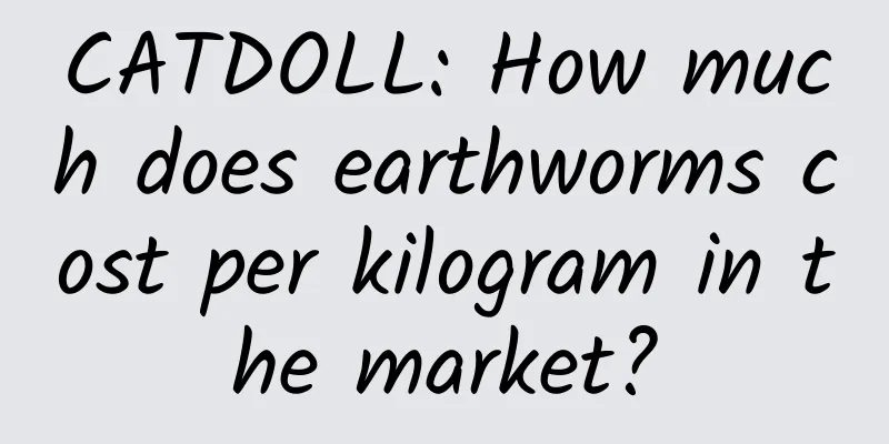CATDOLL: How much does earthworms cost per kilogram in the market?