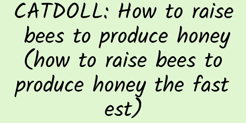 CATDOLL: How to raise bees to produce honey (how to raise bees to produce honey the fastest)