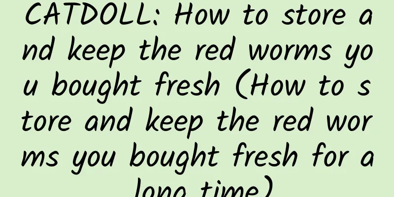 CATDOLL: How to store and keep the red worms you bought fresh (How to store and keep the red worms you bought fresh for a long time)