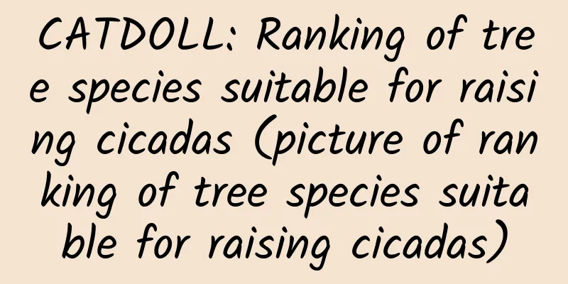 CATDOLL: Ranking of tree species suitable for raising cicadas (picture of ranking of tree species suitable for raising cicadas)