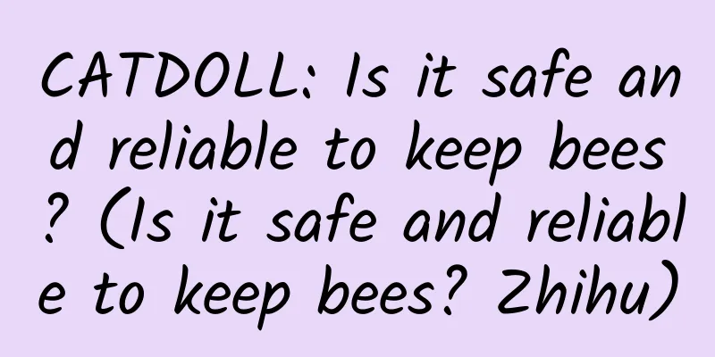 CATDOLL: Is it safe and reliable to keep bees? (Is it safe and reliable to keep bees? Zhihu)