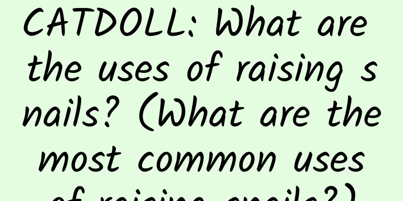 CATDOLL: What are the uses of raising snails? (What are the most common uses of raising snails?)