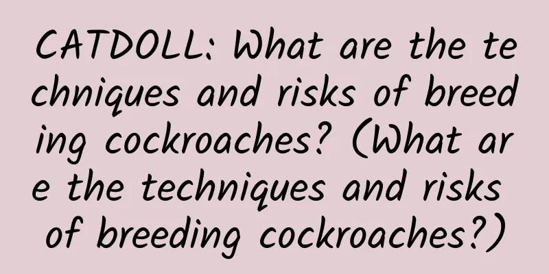 CATDOLL: What are the techniques and risks of breeding cockroaches? (What are the techniques and risks of breeding cockroaches?)