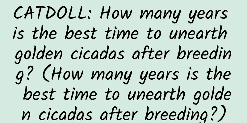 CATDOLL: How many years is the best time to unearth golden cicadas after breeding? (How many years is the best time to unearth golden cicadas after breeding?)