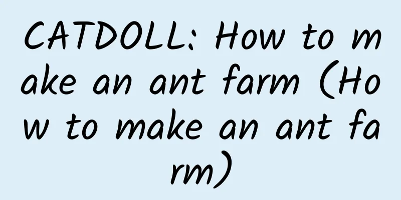 CATDOLL: How to make an ant farm (How to make an ant farm)