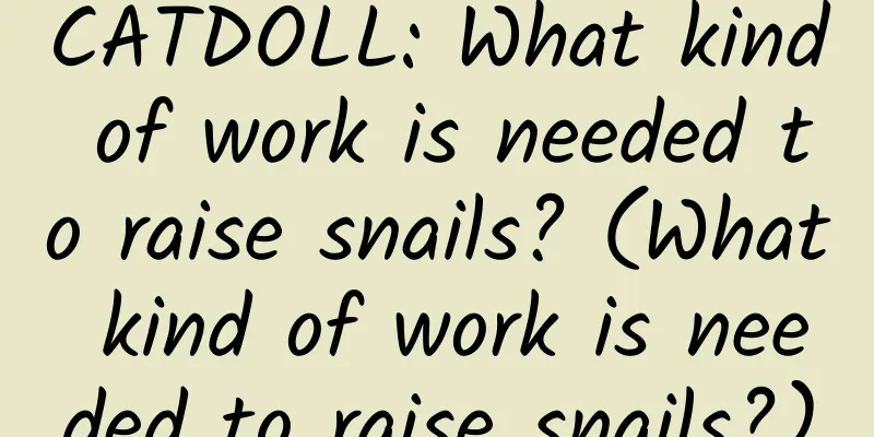 CATDOLL: What kind of work is needed to raise snails? (What kind of work is needed to raise snails?)