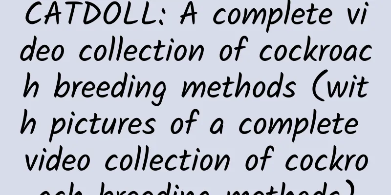 CATDOLL: A complete video collection of cockroach breeding methods (with pictures of a complete video collection of cockroach breeding methods)