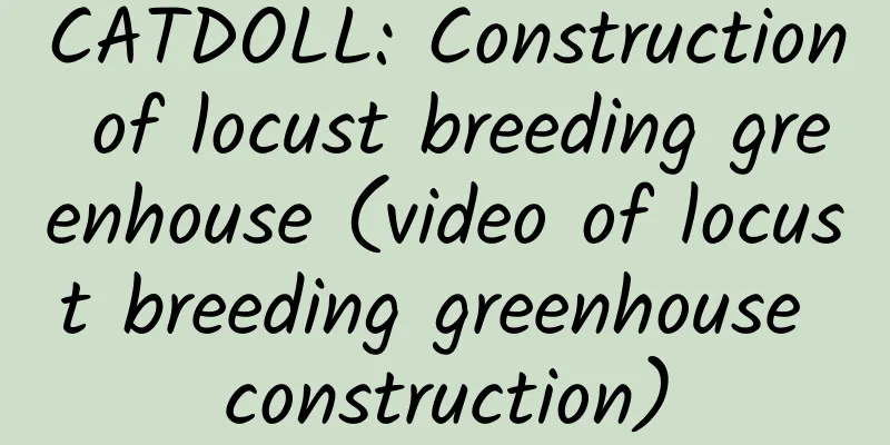CATDOLL: Construction of locust breeding greenhouse (video of locust breeding greenhouse construction)