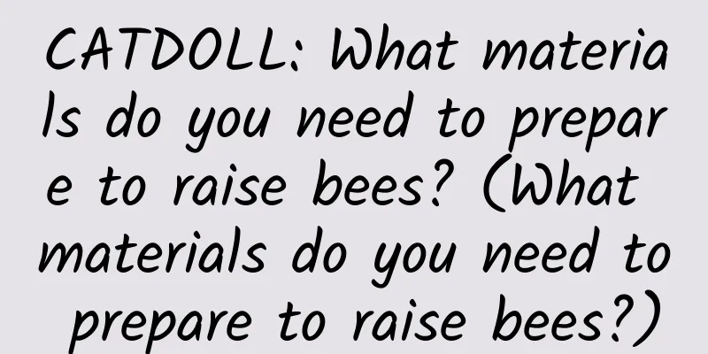 CATDOLL: What materials do you need to prepare to raise bees? (What materials do you need to prepare to raise bees?)