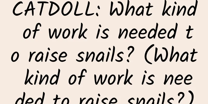 CATDOLL: What kind of work is needed to raise snails? (What kind of work is needed to raise snails?)