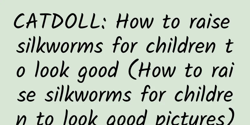 CATDOLL: How to raise silkworms for children to look good (How to raise silkworms for children to look good pictures)