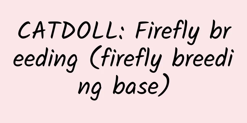 CATDOLL: Firefly breeding (firefly breeding base)