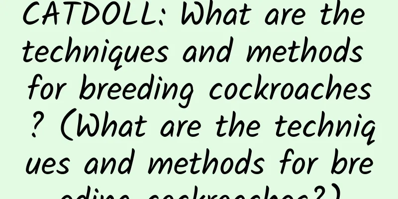 CATDOLL: What are the techniques and methods for breeding cockroaches? (What are the techniques and methods for breeding cockroaches?)