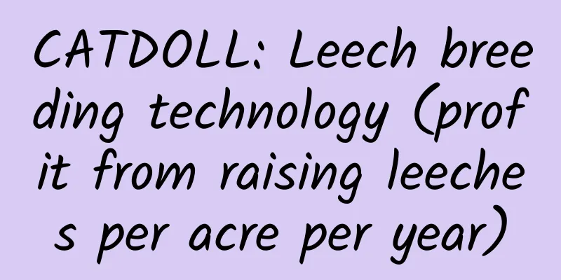 CATDOLL: Leech breeding technology (profit from raising leeches per acre per year)