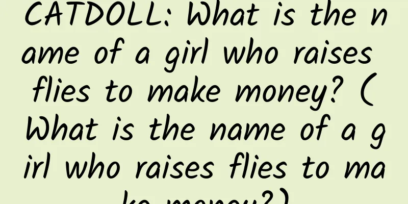 CATDOLL: What is the name of a girl who raises flies to make money? (What is the name of a girl who raises flies to make money?)