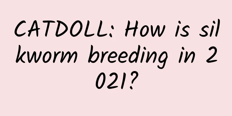 CATDOLL: How is silkworm breeding in 2021?