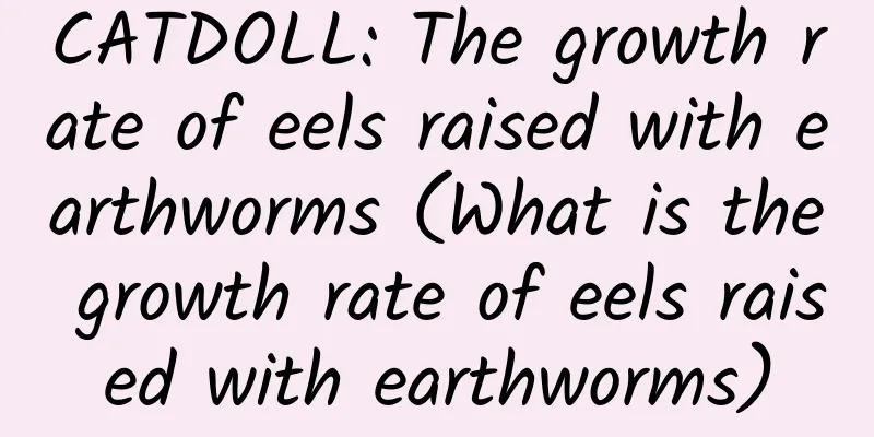 CATDOLL: The growth rate of eels raised with earthworms (What is the growth rate of eels raised with earthworms)