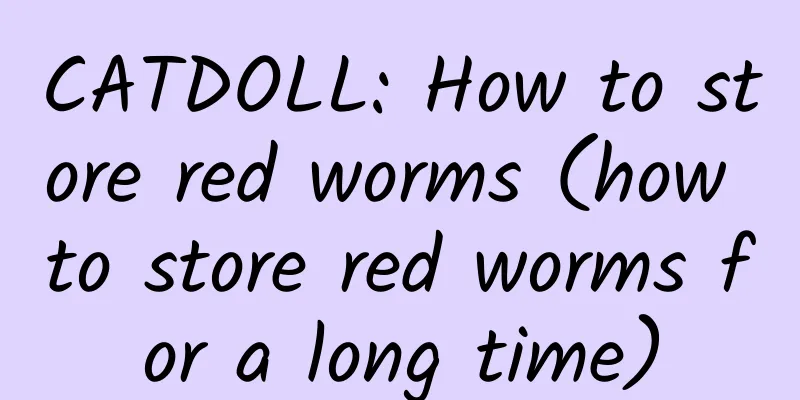 CATDOLL: How to store red worms (how to store red worms for a long time)