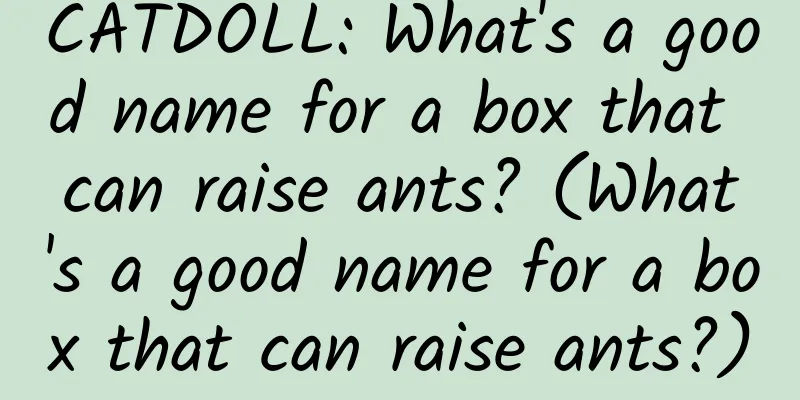CATDOLL: What's a good name for a box that can raise ants? (What's a good name for a box that can raise ants?)