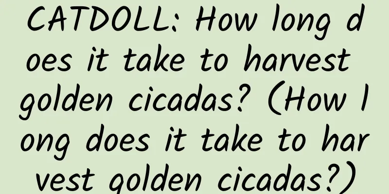 CATDOLL: How long does it take to harvest golden cicadas? (How long does it take to harvest golden cicadas?)