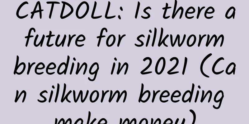 CATDOLL: Is there a future for silkworm breeding in 2021 (Can silkworm breeding make money)