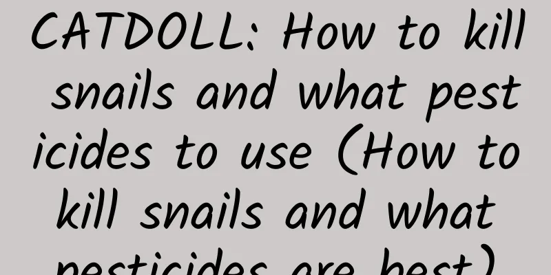 CATDOLL: How to kill snails and what pesticides to use (How to kill snails and what pesticides are best)