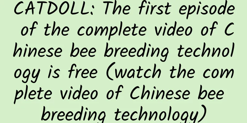 CATDOLL: The first episode of the complete video of Chinese bee breeding technology is free (watch the complete video of Chinese bee breeding technology)