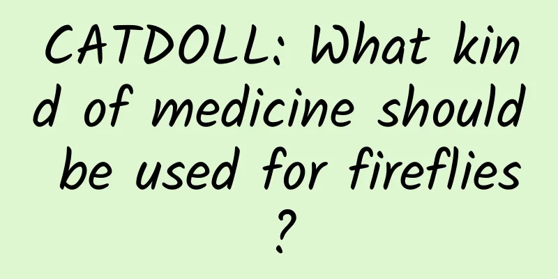 CATDOLL: What kind of medicine should be used for fireflies?