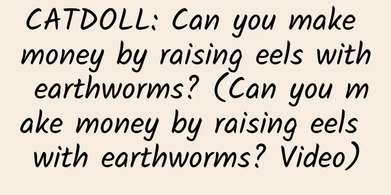 CATDOLL: Can you make money by raising eels with earthworms? (Can you make money by raising eels with earthworms? Video)