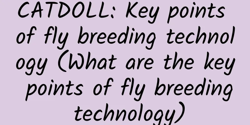 CATDOLL: Key points of fly breeding technology (What are the key points of fly breeding technology)