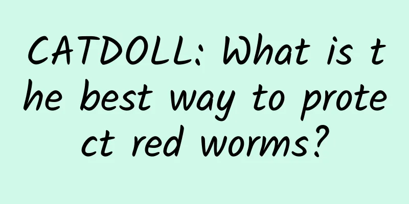 CATDOLL: What is the best way to protect red worms?