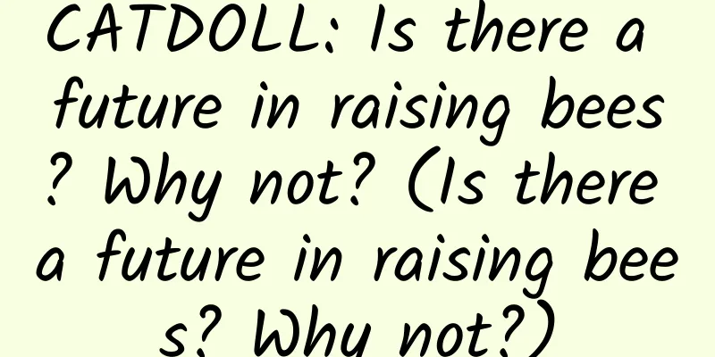 CATDOLL: Is there a future in raising bees? Why not? (Is there a future in raising bees? Why not?)