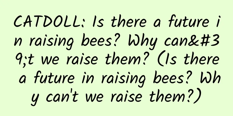 CATDOLL: Is there a future in raising bees? Why can't we raise them? (Is there a future in raising bees? Why can't we raise them?)