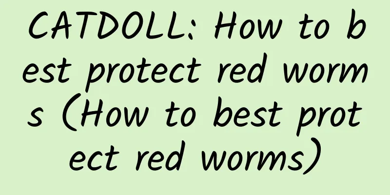 CATDOLL: How to best protect red worms (How to best protect red worms)