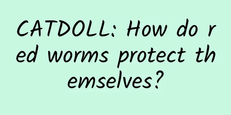 CATDOLL: How do red worms protect themselves?