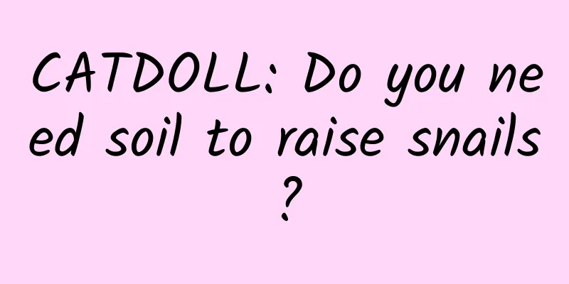 CATDOLL: Do you need soil to raise snails?