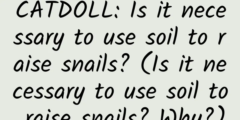 CATDOLL: Is it necessary to use soil to raise snails? (Is it necessary to use soil to raise snails? Why?)