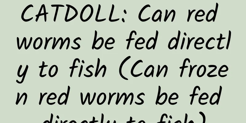 CATDOLL: Can red worms be fed directly to fish (Can frozen red worms be fed directly to fish)