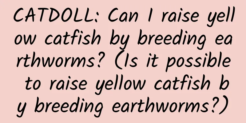 CATDOLL: Can I raise yellow catfish by breeding earthworms? (Is it possible to raise yellow catfish by breeding earthworms?)