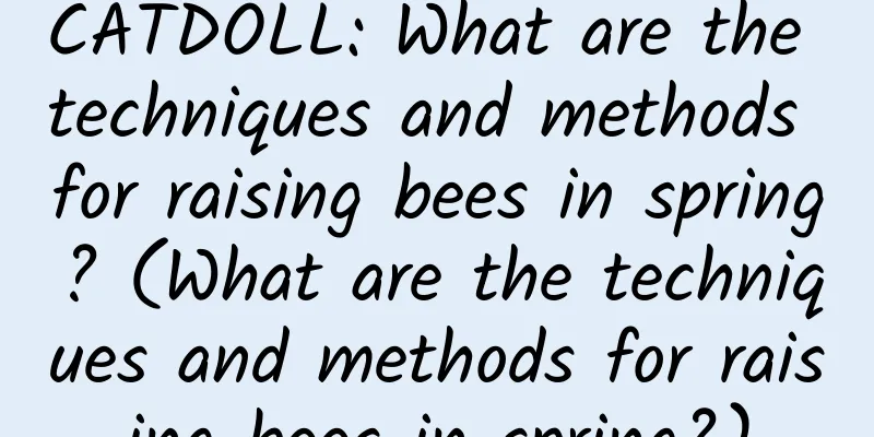 CATDOLL: What are the techniques and methods for raising bees in spring? (What are the techniques and methods for raising bees in spring?)