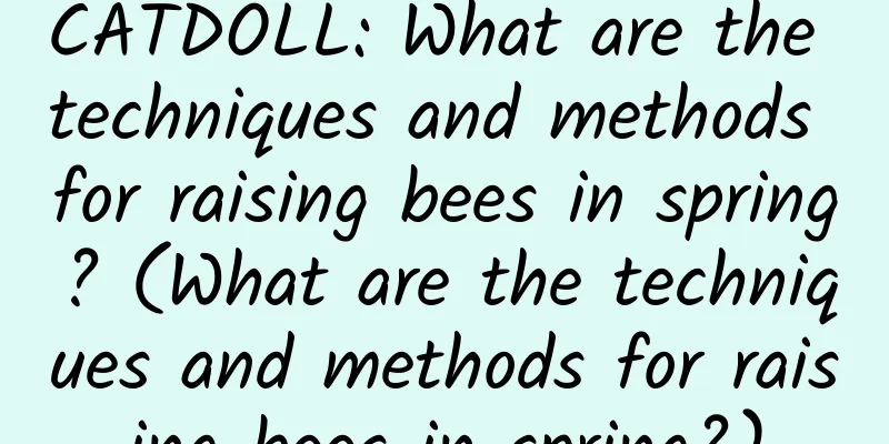 CATDOLL: What are the techniques and methods for raising bees in spring? (What are the techniques and methods for raising bees in spring?)