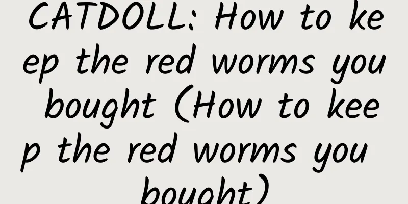 CATDOLL: How to keep the red worms you bought (How to keep the red worms you bought)