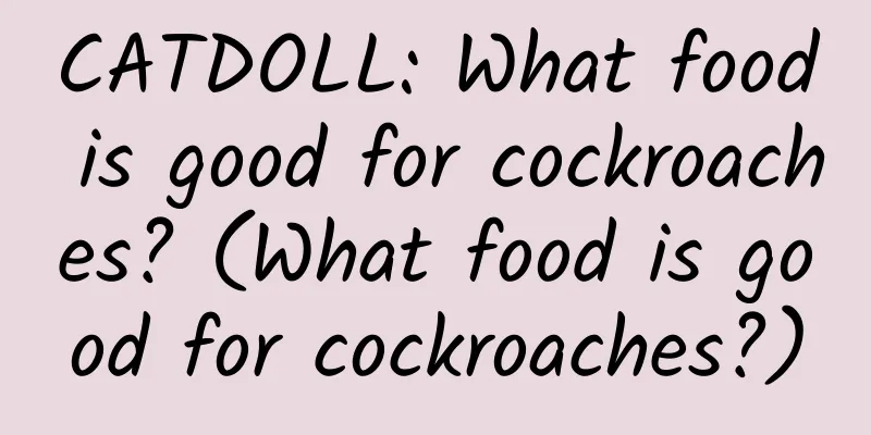 CATDOLL: What food is good for cockroaches? (What food is good for cockroaches?)