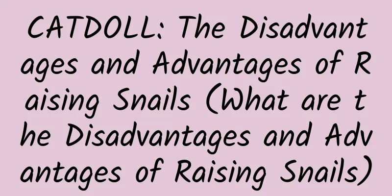 CATDOLL: The Disadvantages and Advantages of Raising Snails (What are the Disadvantages and Advantages of Raising Snails)