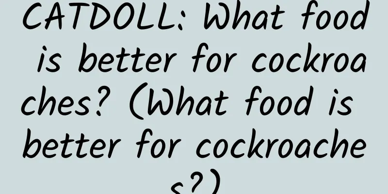 CATDOLL: What food is better for cockroaches? (What food is better for cockroaches?)